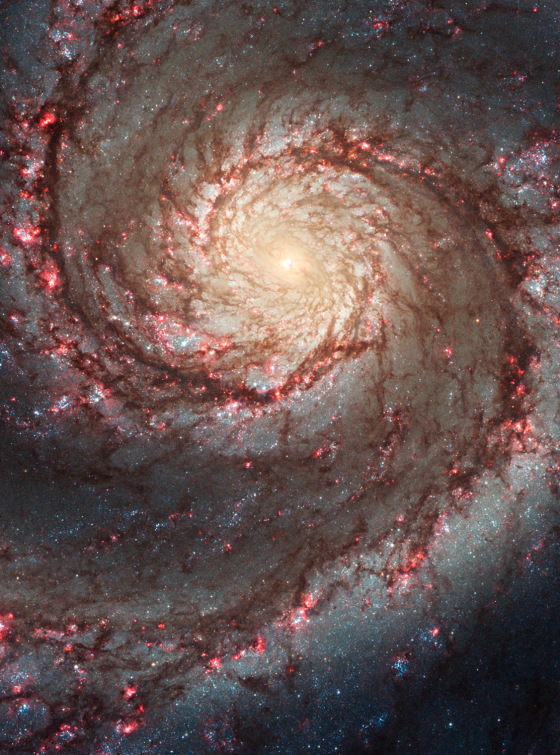 These images by NASA's Hubble Space Telescope show off two dramatically different face-on views of the spiral galaxy M51, dubbed the Whirlpool Galaxy. The image at top, taken in visible light, highlights the attributes of a typical spiral galaxy, including graceful, curving arms, pink star-forming regions, and brilliant blue strands of star clusters. In the image below, most of the starlight has been removed, revealing the Whirlpool's skeletal dust structure, as seen in near-infrared light. This new image is the sharpest view of the dense dust in M51. The narrow lanes of dust revealed by Hubble reflect the galaxy's moniker, the Whirlpool Galaxy, as if they were swirling toward the galaxy's core.