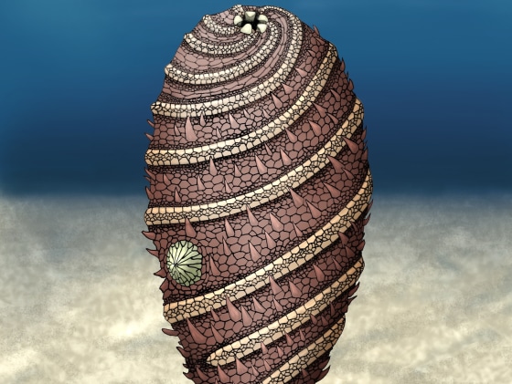 Andrew Smith / Samuel Zamora / Natural History Museum