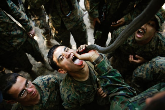 A U.S. Marine drinks the blood of a cobra during a jungle survival exercise with the Thai Navy as part of the