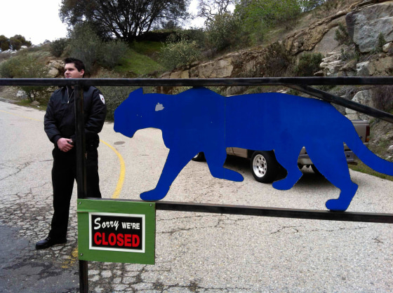 A security guard stands by the gate of the Cat Haven sanctuary near Dunlop, California, March 7, 2013, the day after a lion killed a volunteer intern that entered its cage at the facility. The 24-year-old intern, who was killed by a 350-pound male Barbary lion named Cous Cous, apparently liked to get close to big cats, and state officials on Thursday said they are investigating why she was inside an enclosure with the predator and what caused the attack. REUTERS/Steve Keleher (UNITED STATES - Tags: ANIMALS)