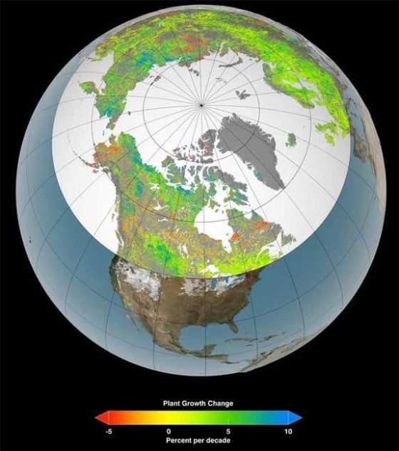 Of the 10 million square miles (26 million square kilometers) of northern vegetated lands, 34 to 41 percent showed increases in plant growth (green and blue), 3 to 5 percent decreases in plant growth (orange and red), and 51 to 62 percent no changes (yellow) over the past 30 years, new research shows.