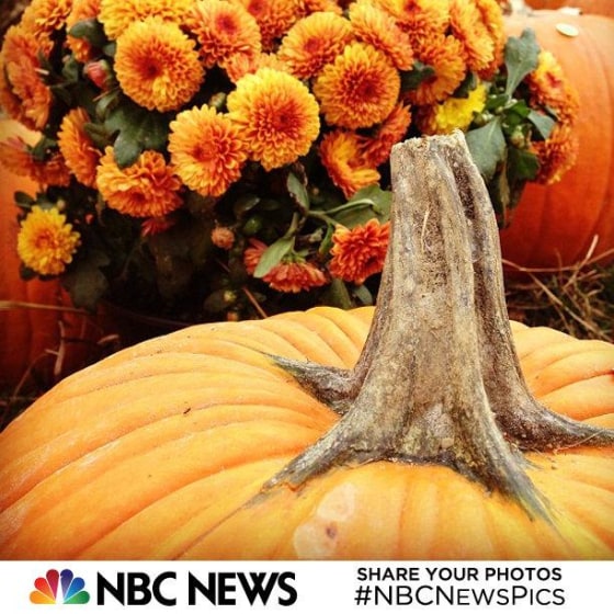 Pumpkin festival in West Virginia.