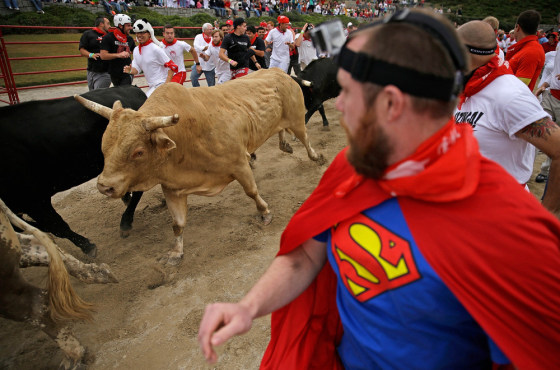 Participants run alongside charging bulls during the Great Bull Run.