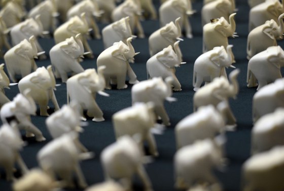 U.S. plans to destroy 6 tons of seized illegal ivory