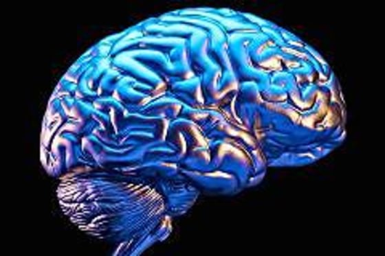 Don Farrall | Photographer's Choice RF | Getty Images