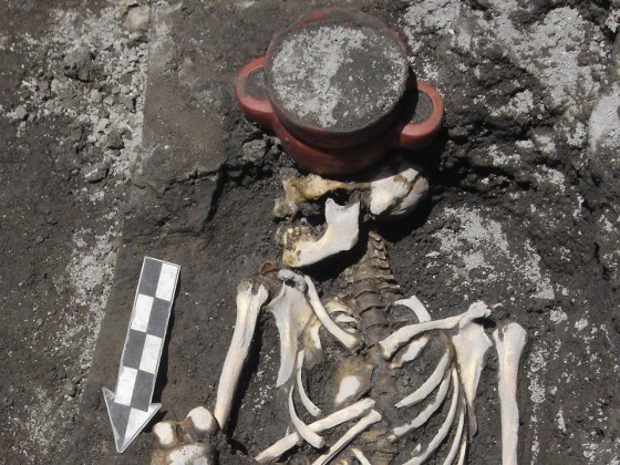 Mexico City dig turns up unusual Aztec offering: a dog&rsquo;s skull