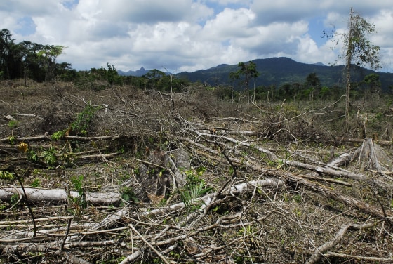 Deforestation in Eastern Honduras