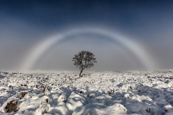 Arcoiris albino. Foto de Melvin Nicholson