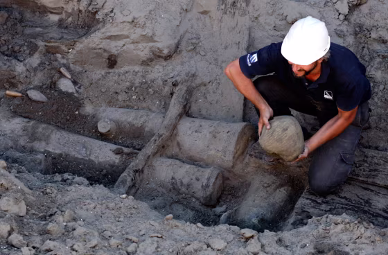 Image: Argentina discovery