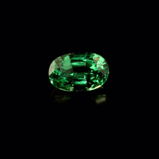 The International Colored Gem Association arranges tours of tsavorite mines in Kenya. 