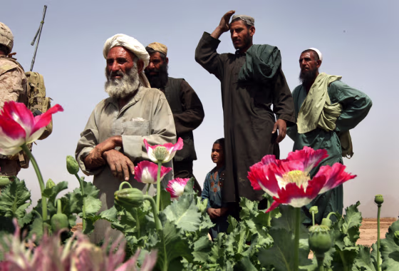 mage: U.S. Marines Patrol Near Opium Fields Of Southwest Afghanistan