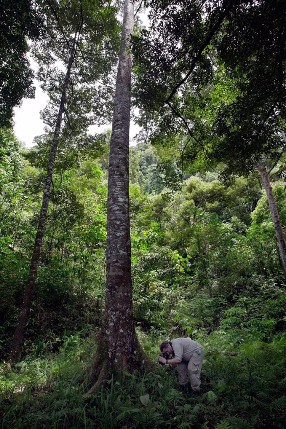 Image: British entomologist George Beccaloni photographs insects near one of coal mines in Malaysia