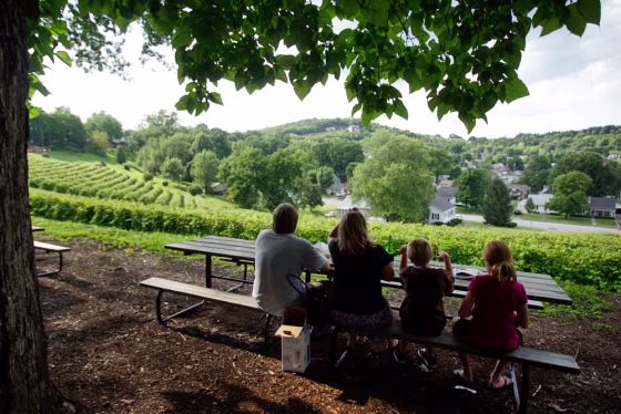 Image: a family overlooking Stone Hill Winery near Katy Trail
