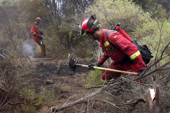 Image: Members of the Spanish Army Emergency Unit (UME) attempt to extinguish a fire