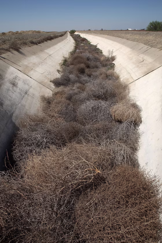 Image: California's Fertile Central Valley Suffers From Statewide Drought