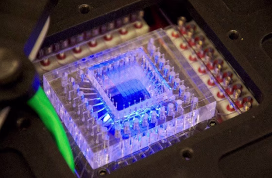 Image:   Chip inside SETG instrument