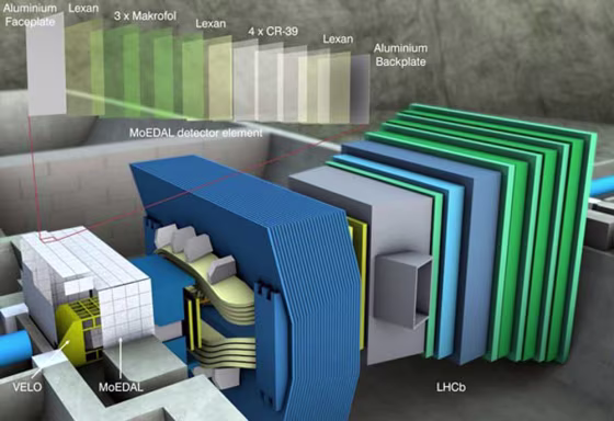 Image: MoEDAL experiment at LHC