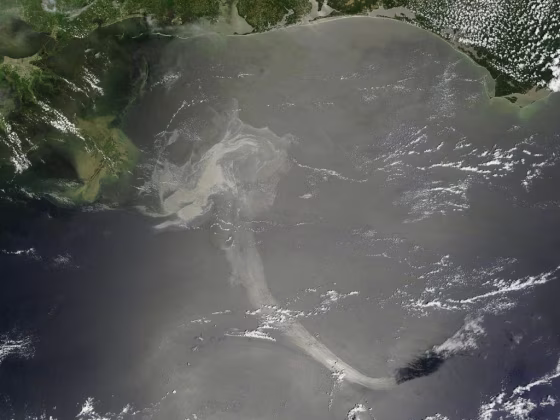 A NASA satellite captured this image of the&nbsp;Gulf oil spill on&nbsp;midday Monday. The oil slick appears as a dull gray on the water and stretches south from the Mississippi Delta with what looks like a tail.
