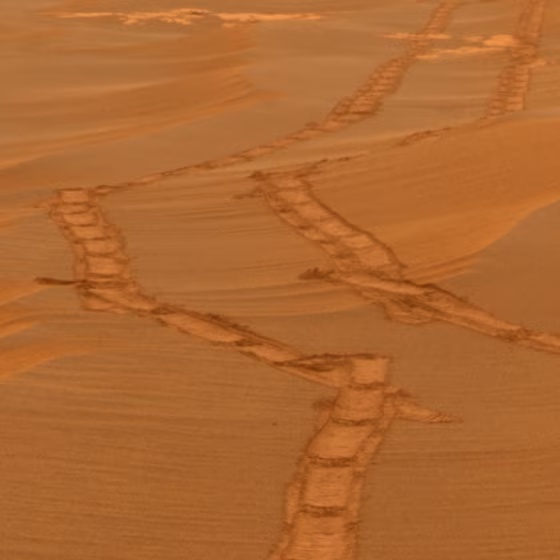Image: Rover tracks