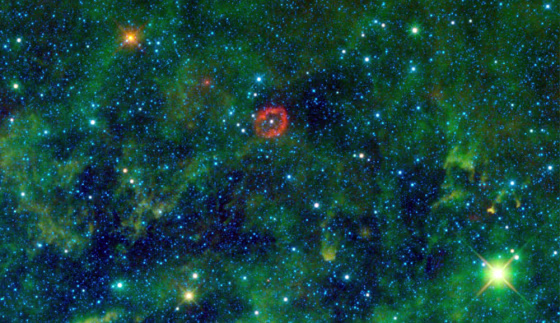 Image: What looks like a jellyfish floating in a sea of kelp is actually a cloud of material shed by a massive star, in this new image from WISE.