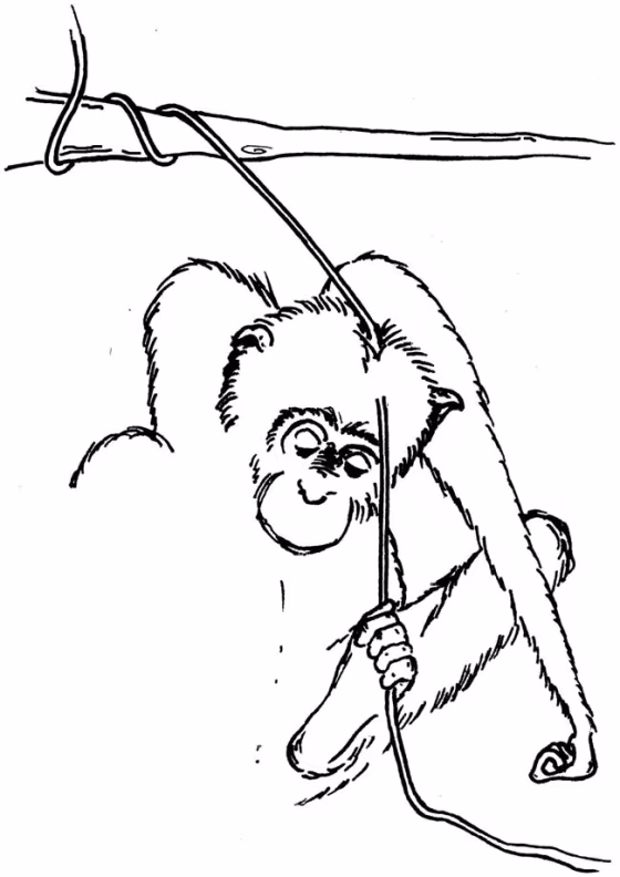 Image: Illustration of chimp with paralyzed hands