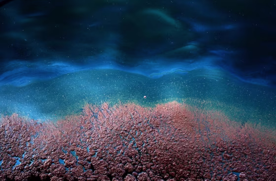 Image: Oil clumps together in the Gulf of Mexico