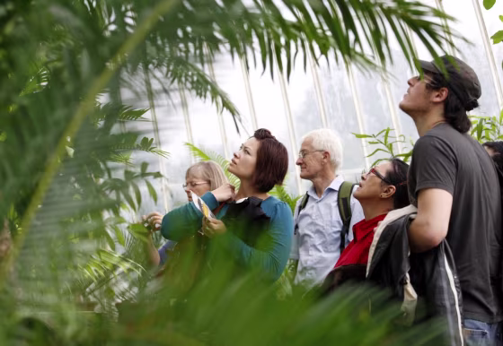 Image:  Visitors view a collection of cycads in a greenhouse at Kew Gardens in Kew Gardens, in London