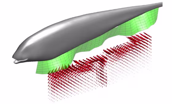 Image: Computer simulation of knifefish