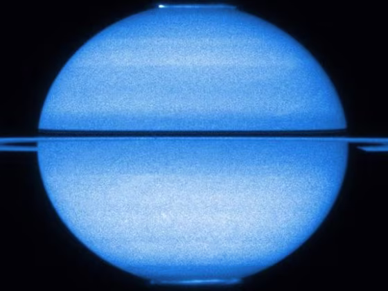 The Hubble Space Telescope shows Saturn with the rings edge-on and both poles in view, with both of its fluttering auroras visible, in early 2009.