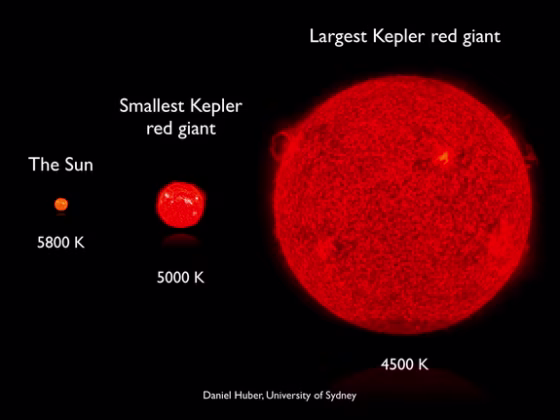 Sizes of red giant stars compared with the sun. Using the Kepler telescope, we have detected oscillations in hundreds of red giant stars. The periods of those oscillations allowed us to study the interiors of these giant stars, which represent the future life of our sun. 