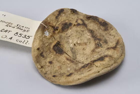 Hey, does anyone have any salsa? A century-old tortilla in Harvard's collections.