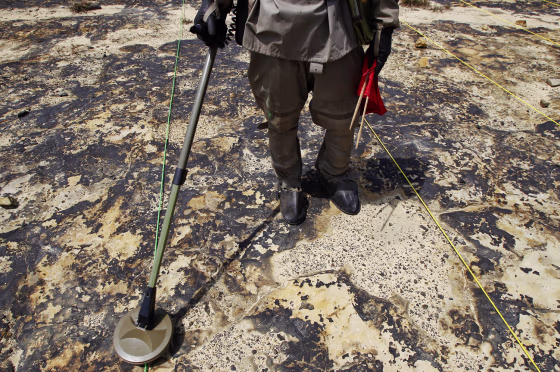 Image: A soldier detects UXO and defoliant Agent Orange at a presentation in Vietnam