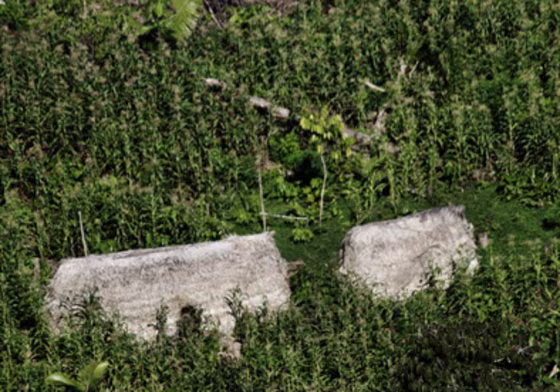 Image: Evidence of settlement