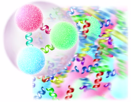 An ordinary proton or neutron (foreground) is formed of three quarks bound together by gluons, carriers of the color force. Above a critical temperature, protons and neutrons and other forms of hadronic matter "melt" into a hot, dense soup of free quarks and gluons (background), the quark-gluon plasma.