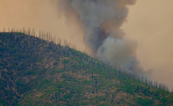 Image: The Las Conchas fire near the town of Los Alamos