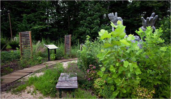 Image: garden where slavery museum was planned