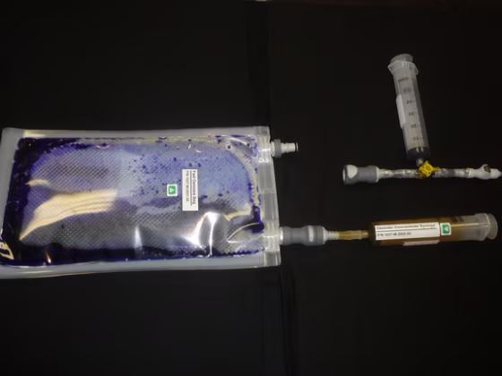 Snapshot of a two-chambered bag and two syringes