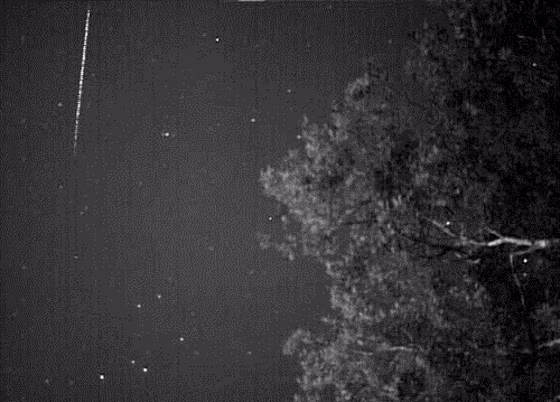Image: February Eta Draconid