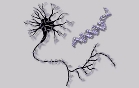 Image: Neural network and DNA strand