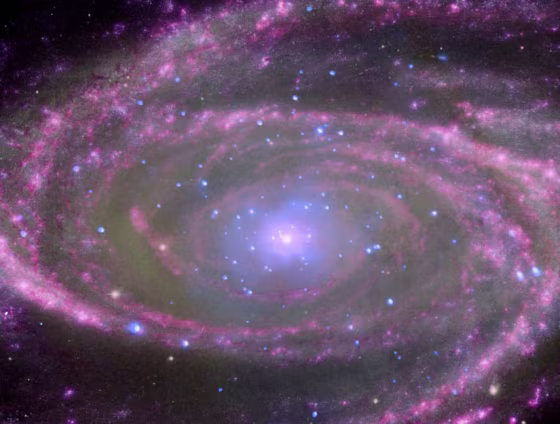 At the center of spiral galaxy M81 is an enormous black hole about 70 million times more massive than our sun.