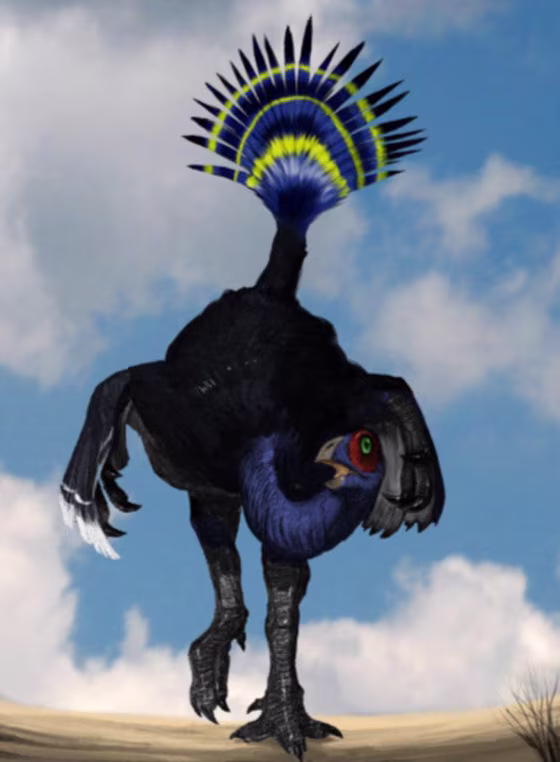 Like&nbsp;peacocks today, Oviraptors may have shaken&nbsp;their flexible tail feathers like a fan to strut their stuff.