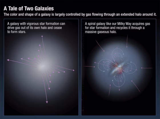 Some galaxies undergo a rapid star formation phase, losing stellar gases to intergalactic space;&nbsp;others choose to recycle, extending their star forming lifespans.