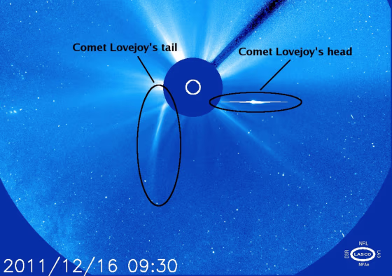 Image: Comet Lovejoy