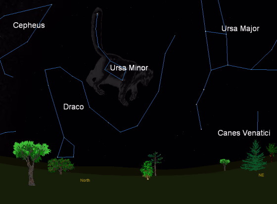 This sky map shows the location of the constellation Ursa Minor (Little Bear), the star pattern from which the annual Ursid meteor shower appears to radiate. This map shows where to look at 10 p.m. local time on Thursday (Dec. 22) to find Ursa Minor in the northern night sky from mid-northern latitudes.