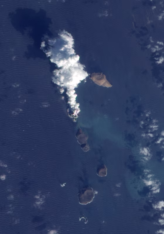Say hello to the Red Sea's new inhabitant: an island that has emerged in the Zubair Archipelago. The island is the source of the huge volcanic plume you see here in a picture captured by a NASA satellite.