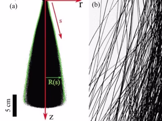 Image: Ponytail analysis