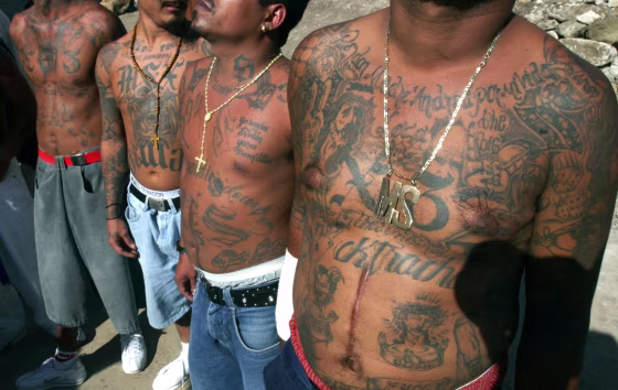 Image: unidentified members of the gang Mara Salvatrucha
