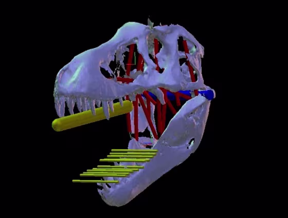 Image: T. rex computer model