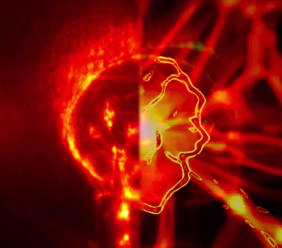 An image of a laser-produced shock wave. Brighter colors correspond to regions of higher density or temperature. Right-hand side: A simulation of a collapsing shock wave arising during the pre-galactic phase.