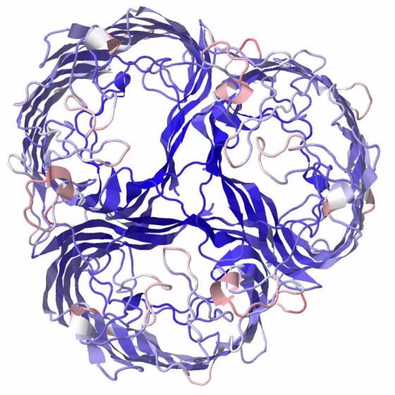 An image of a protein, LamB, found on the surface of a bacterial cell. Scientists examined what happened when a virus could no longer infect the bacteria through the protein.